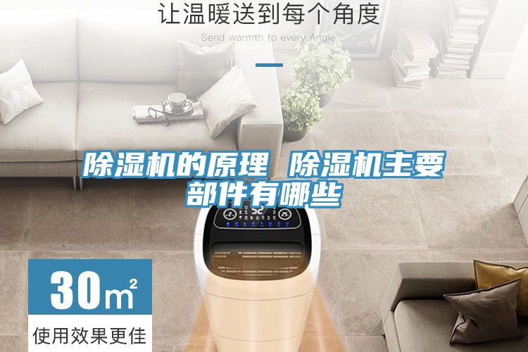 91看片网站的原理 91看片网站主要部件有哪些