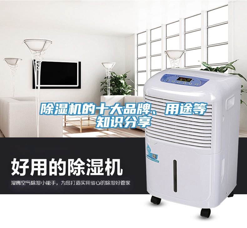 91看片网站的十大品牌、用途等知識分享