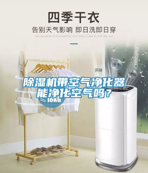 91看片网站帶空氣淨化器能淨化空氣嗎？