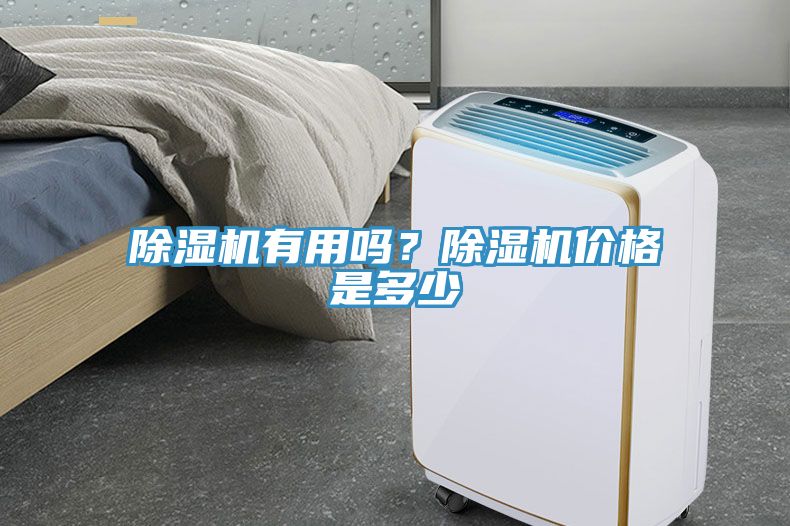 91看片网站有用嗎？91看片网站價格是多少