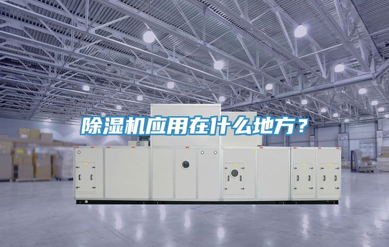 91看片网站應用在什麽地方？