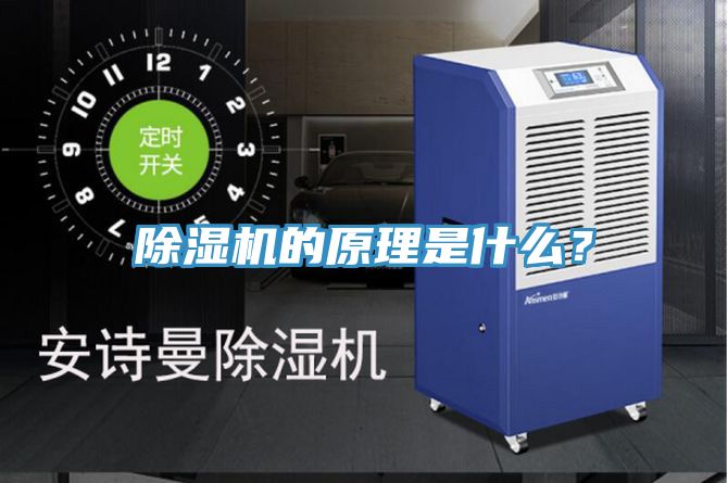 91看片网站的原理是什麽？