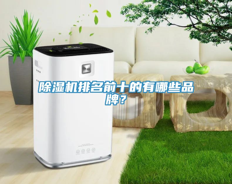 91看片网站排名前十的有哪些品牌？