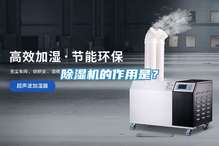 91看片网站的作用是？