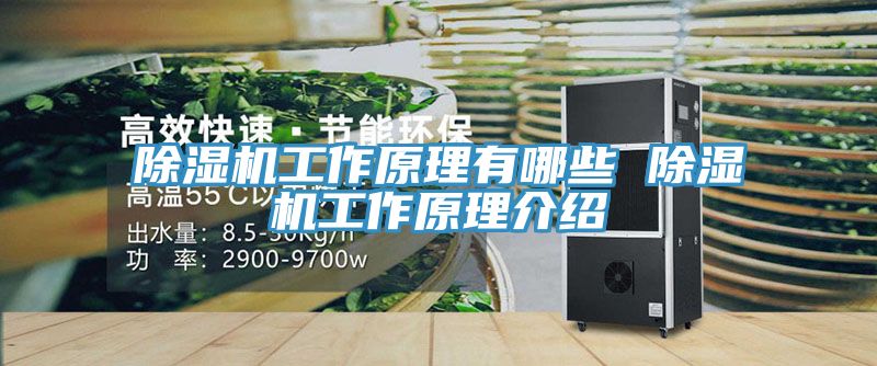 91看片网站工作原理有哪些 91看片网站工作原理介紹