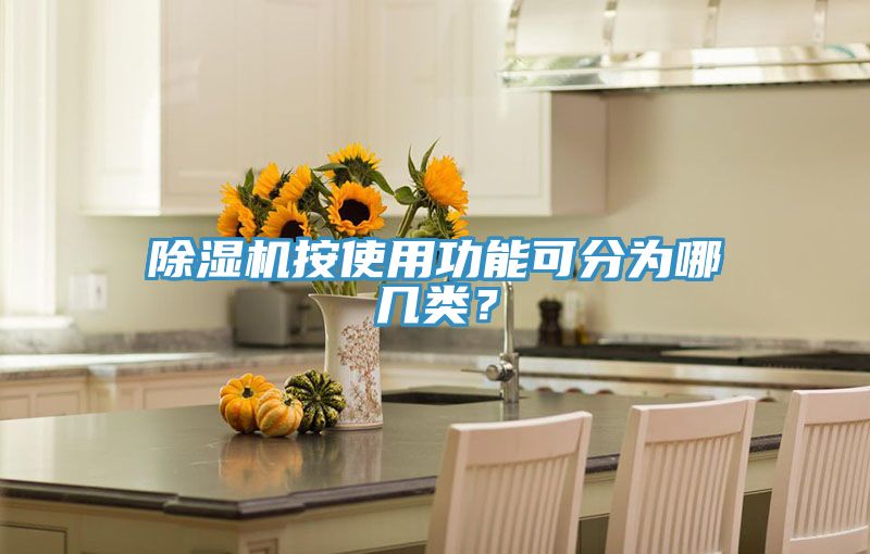 91看片网站按使用功能可分為哪幾類？