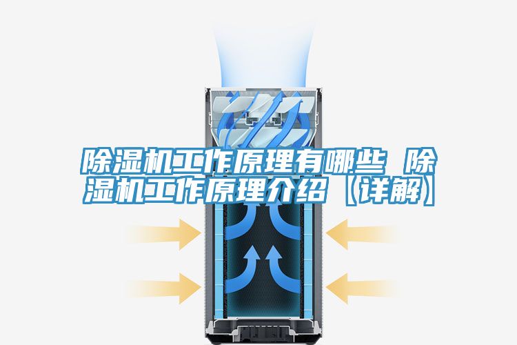 91看片网站工作原理有哪些 91看片网站工作原理介紹【詳解】