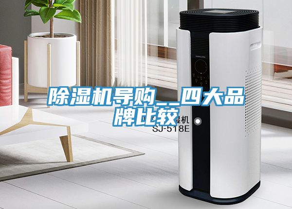 91看片网站導購__四大品牌比較