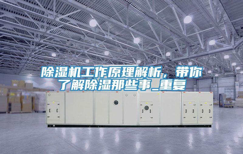 91看片网站工作原理解析，帶你了解除濕那些事_重複