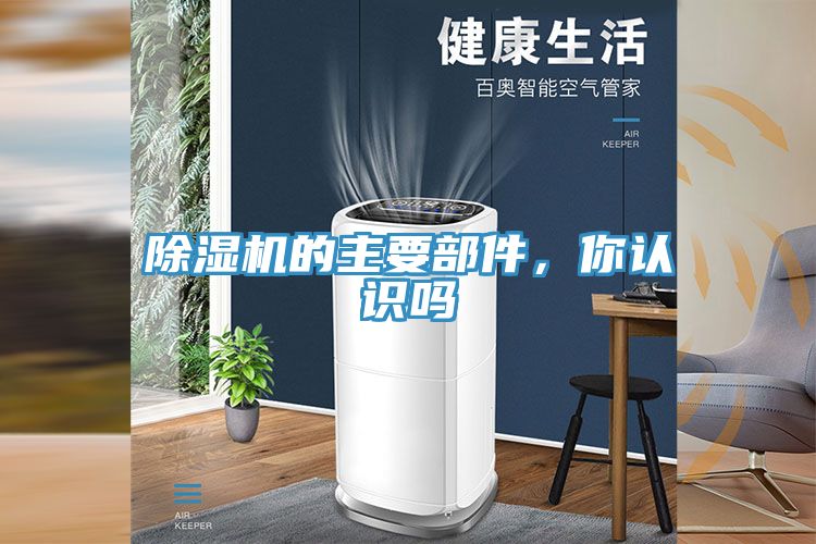91看片网站的主要部件，你認識嗎