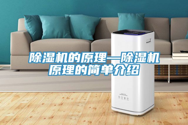 91看片网站的原理—91看片网站原理的簡單介紹