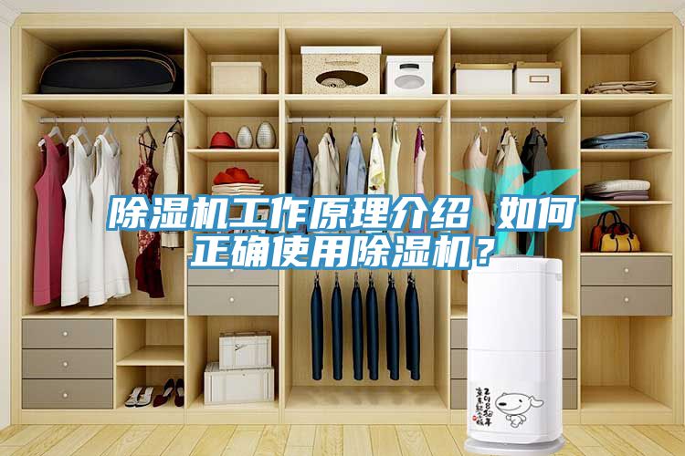 91看片网站工作原理介紹 如何正確使用91看片网站？