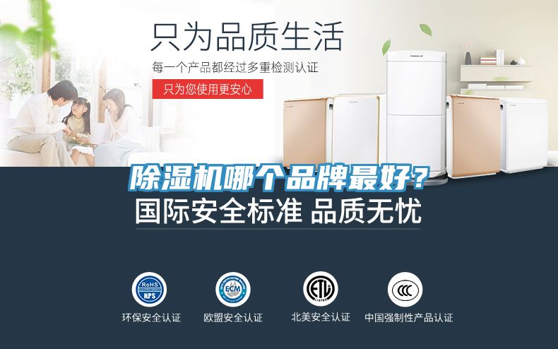 91看片网站哪個品牌最好？