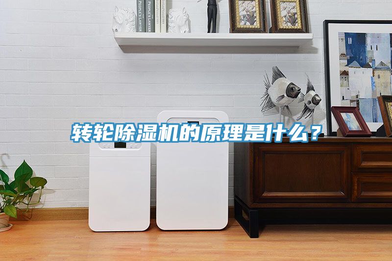 轉輪91看片网站的原理是什麽？