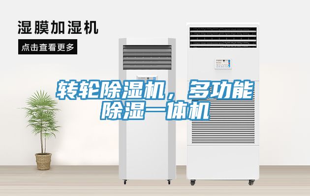 轉輪91看片网站，多功能除濕一體機