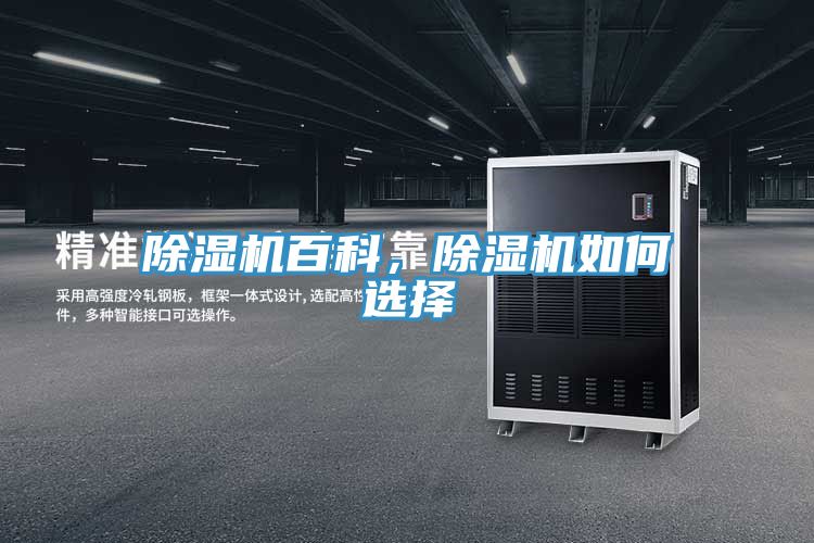 91看片网站百科，91看片网站如何選擇