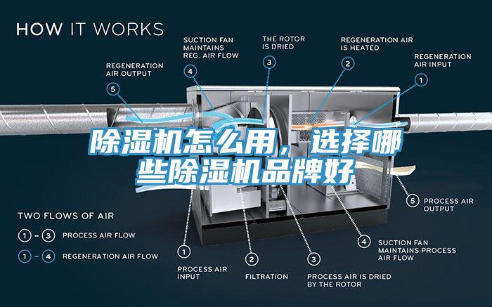 91看片网站怎麽用，選擇哪些91看片网站品牌好