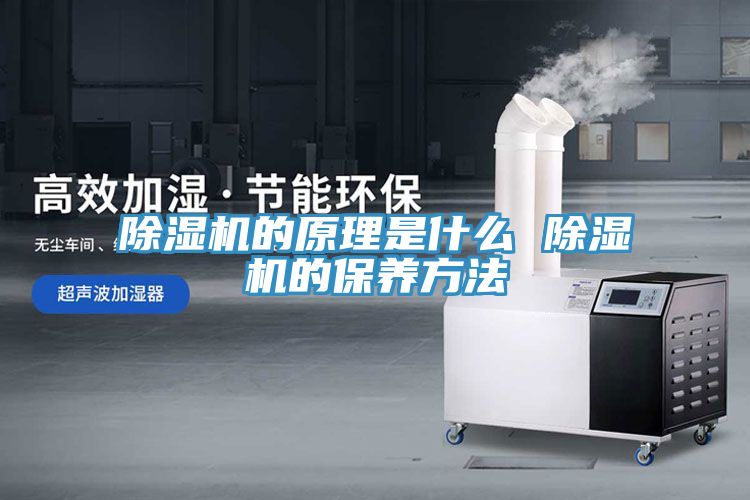 91看片网站的原理是什麽 91看片网站的保養方法