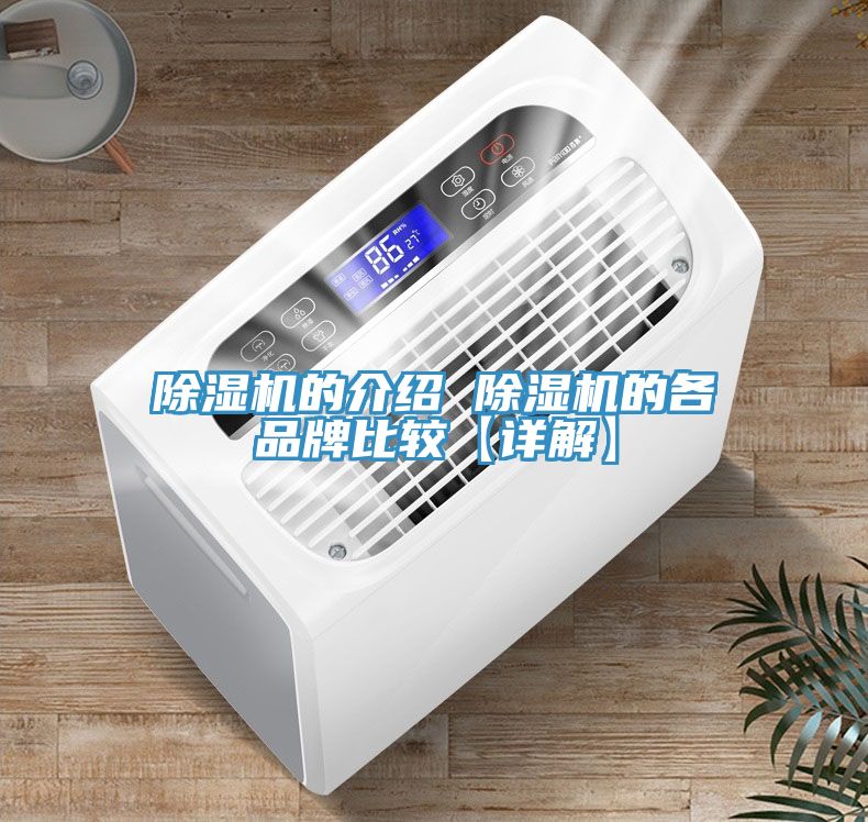 91看片网站的介紹 91看片网站的各品牌比較【詳解】