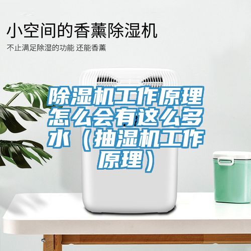91看片网站工作原理怎麽會有這麽多水（抽濕機工作原理）
