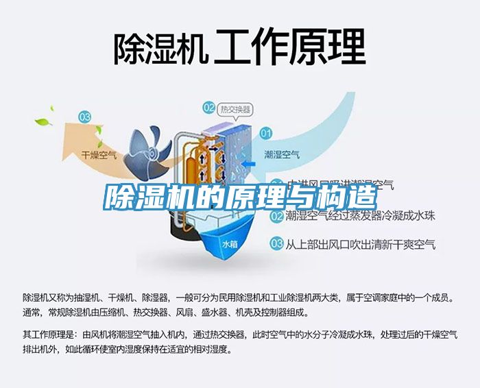 91看片网站的原理與構造