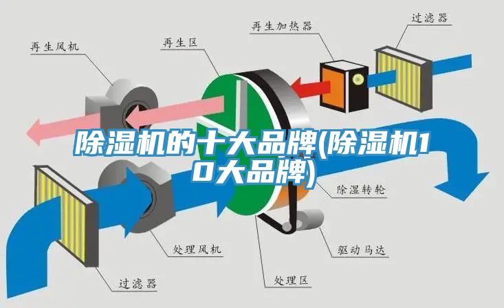 91看片网站的十大品牌(91看片网站10大品牌)