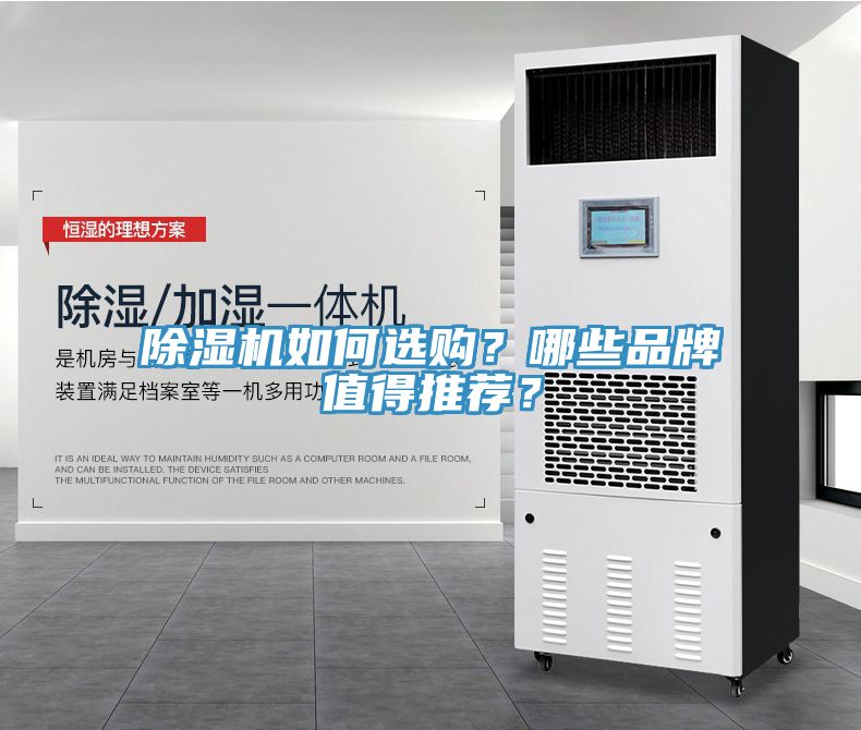 91看片网站如何選購？哪些品牌值得推薦？