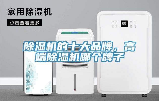 91看片网站的十大品牌，高端91看片网站哪個牌子